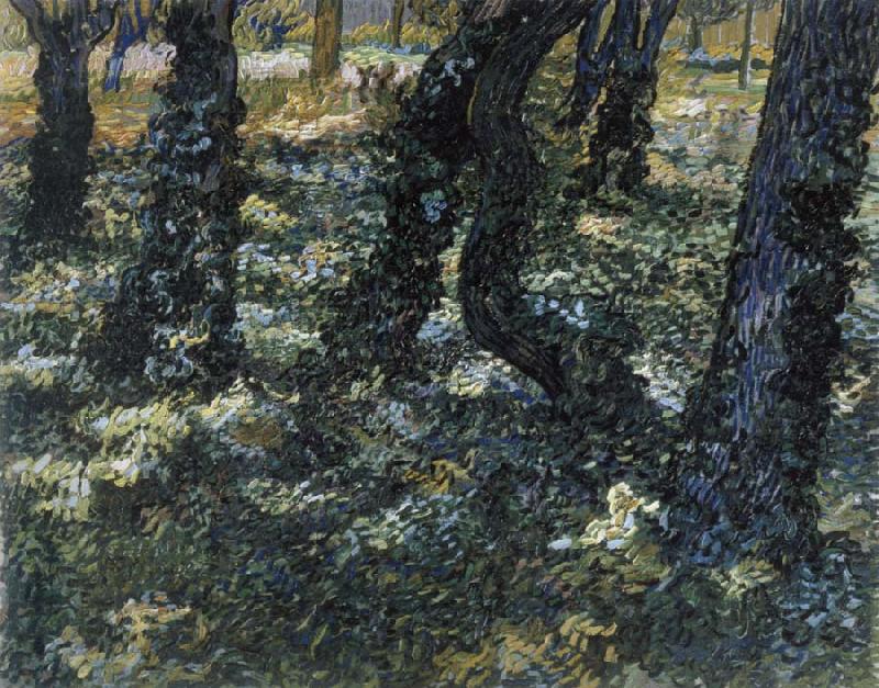 Vincent Van Gogh Undergrowth China oil painting art